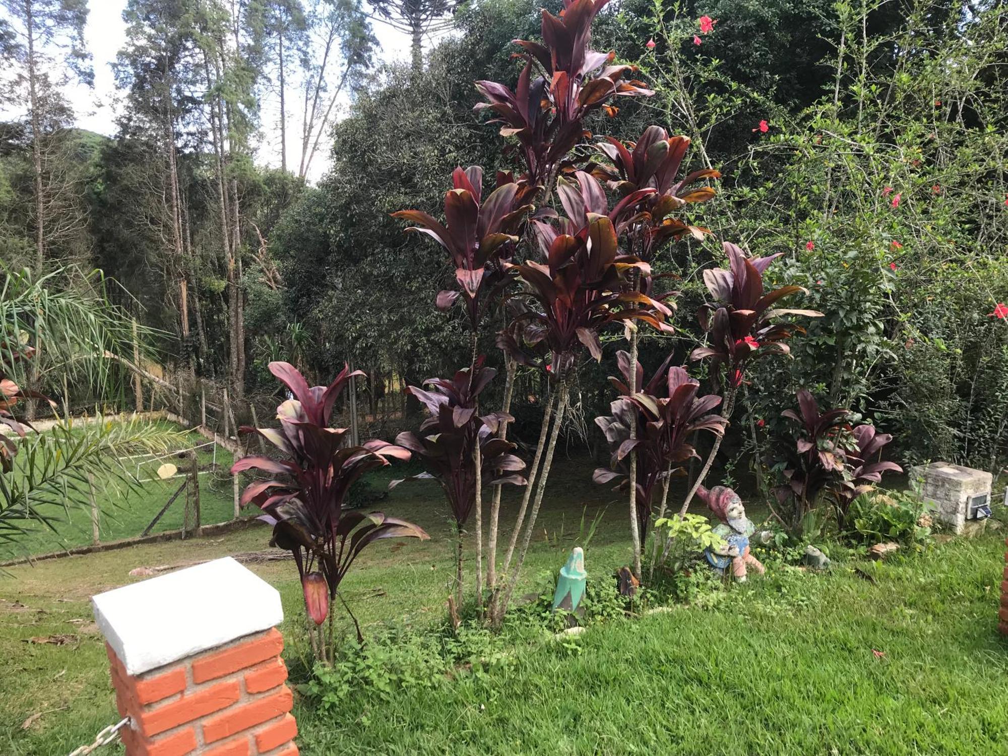 Recanto Figueiredo Villa Ibiúna Buitenkant foto